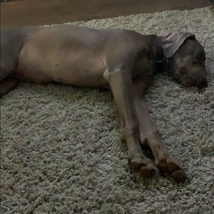 Meet your Posher, Robin